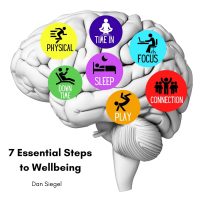 7 Essential Activities Dan Siegel